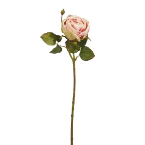 18" Antique Blush Rose Stem