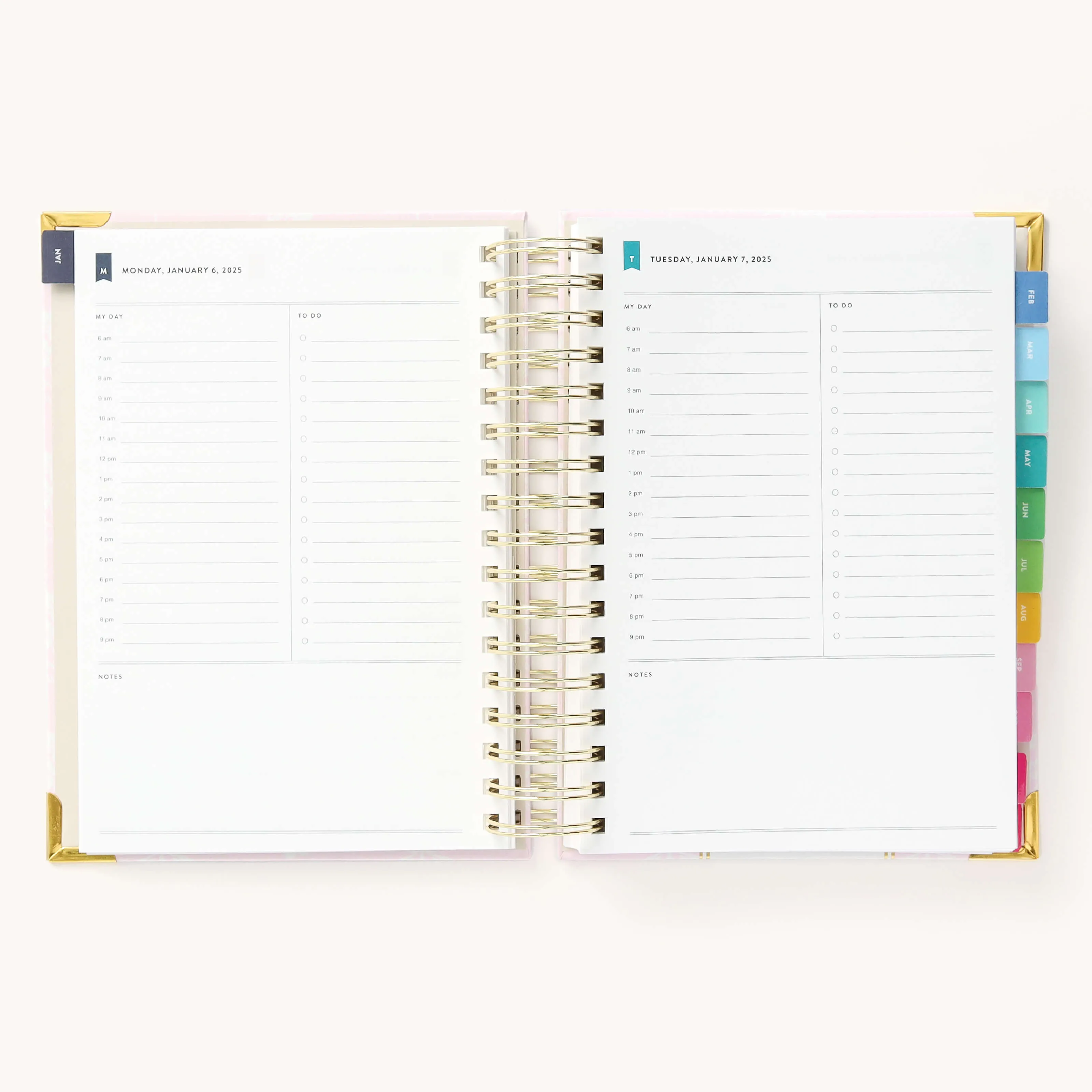 2025 Daily Simplified Planner - Blush Block
