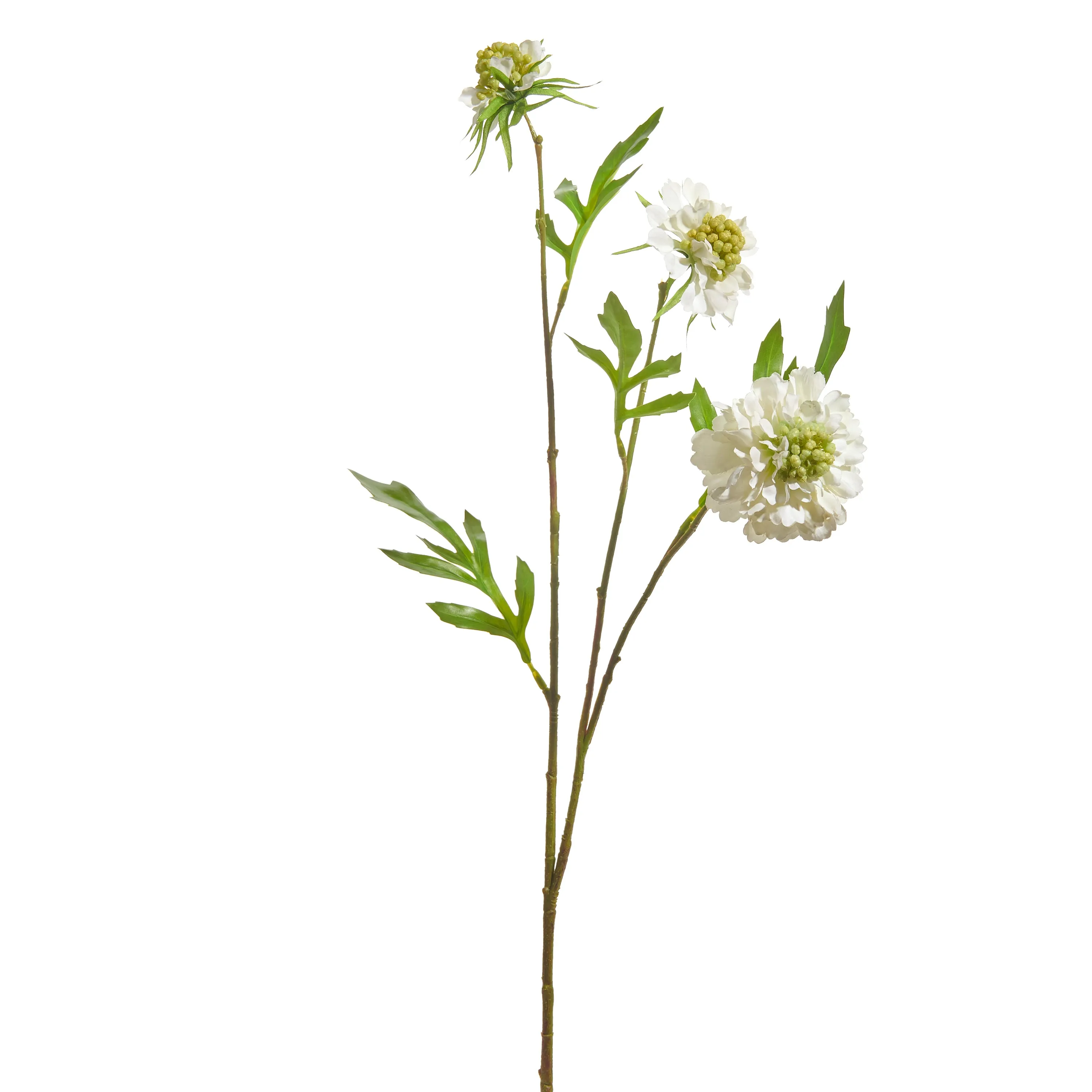 24.5" Scabiosa Spray