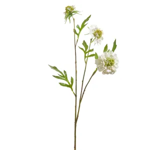 24.5" Scabiosa Spray