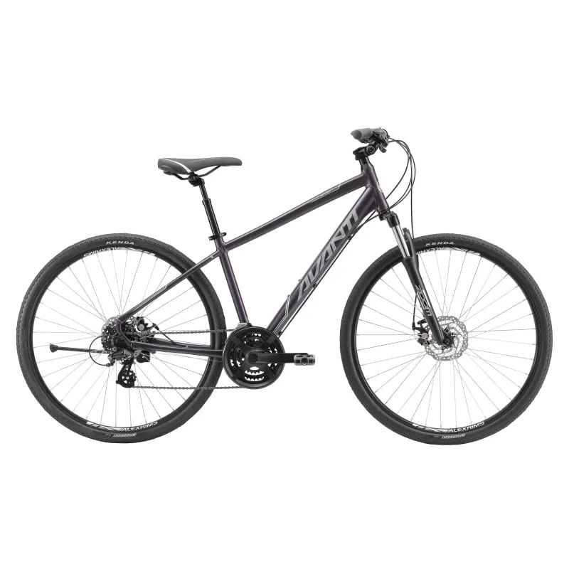Avanti Discovery MS 1 - Black