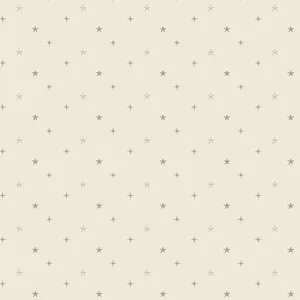 Christmas in the City Starry Sky in Snow by AGF Studio