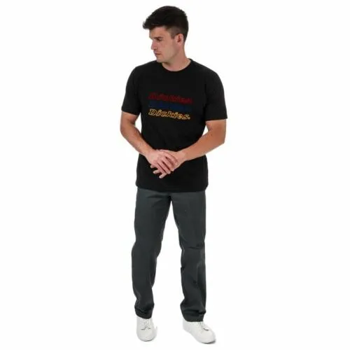 Dickies Pantalone da uomo Slim Straight Work Flex grigio