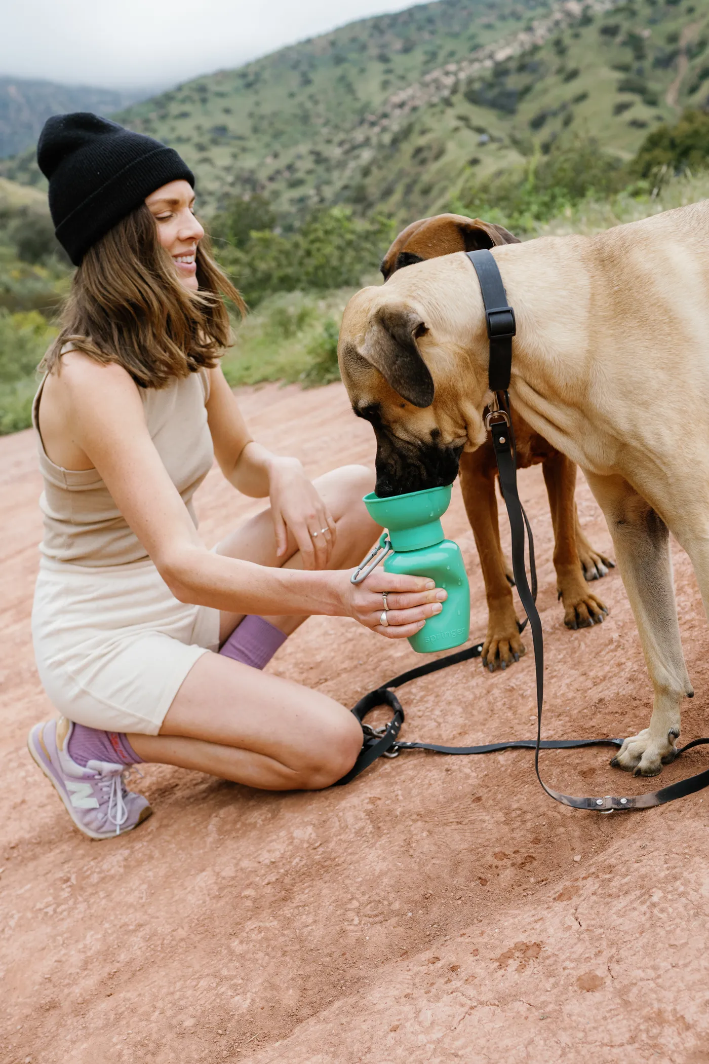 Flip Dog Travel Water Bottle (20oz)