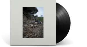 Mac DeMarco : Five Easy Hot Dogs