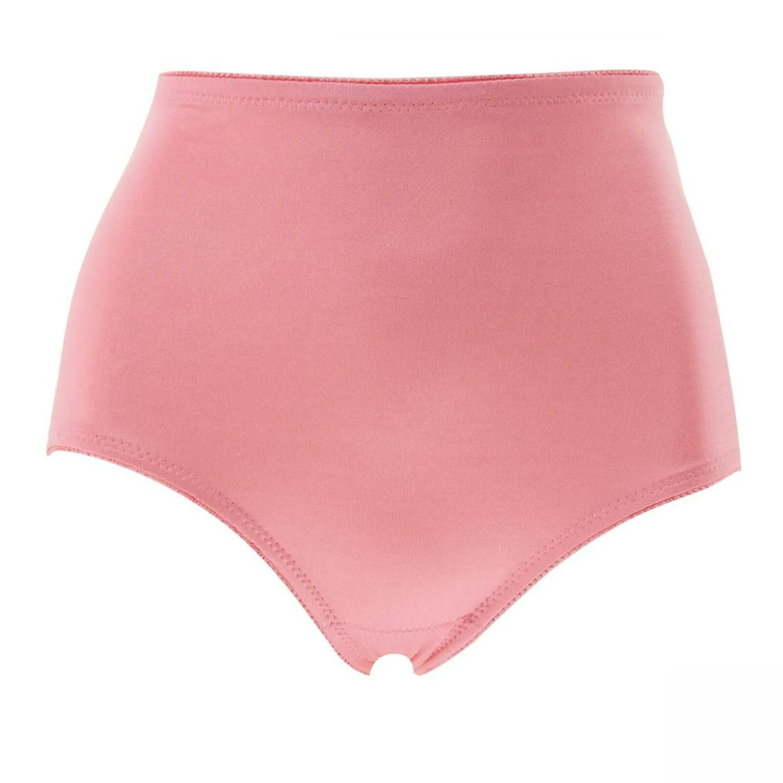New Rhonda Shear Womens Smooth Pinup Brief With Lace Trim. 650181-1-NEW X-Large