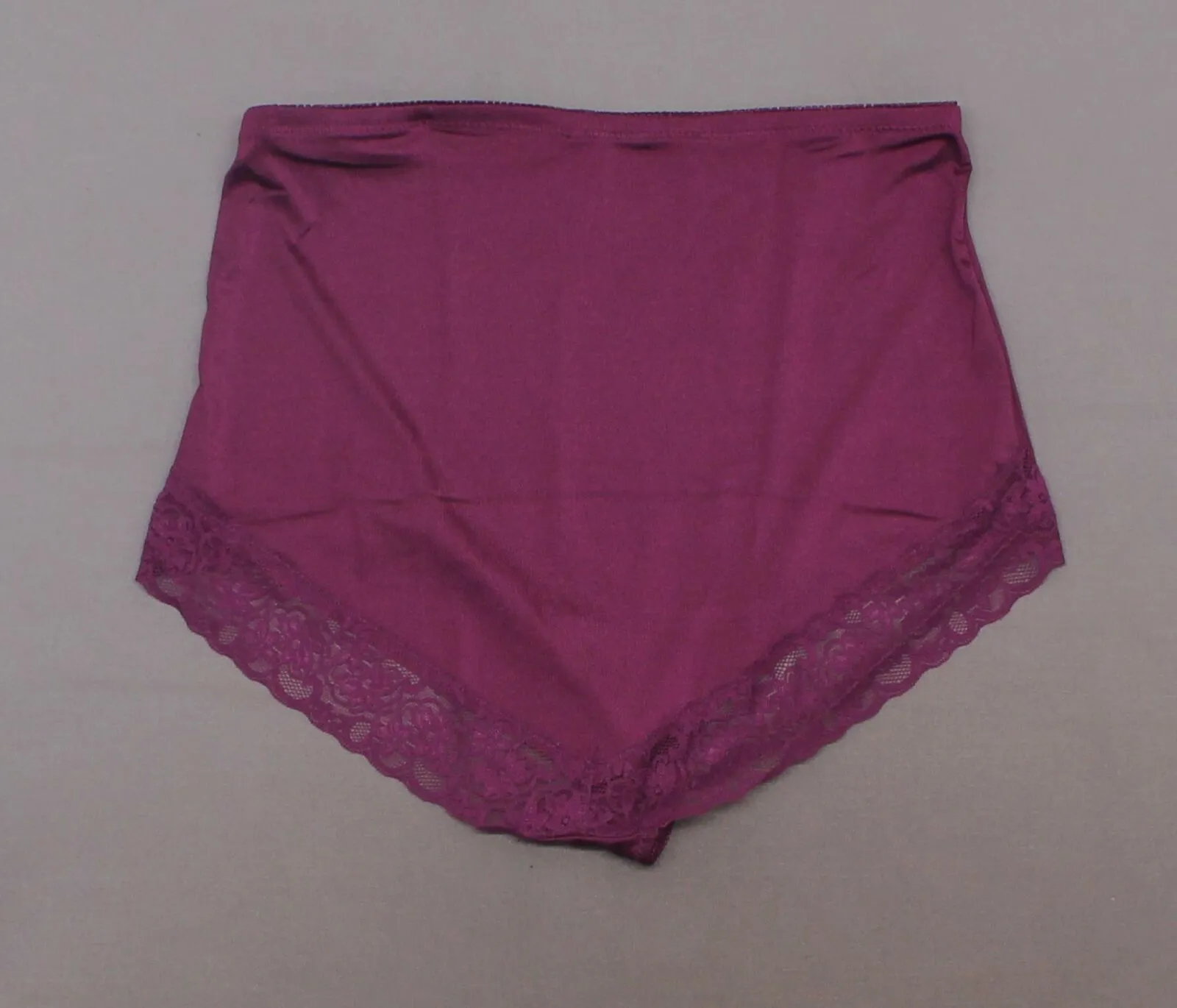 New Rhonda Shear Womens Smooth Pinup Brief With Lace Trim. 650181-1-NEW X-Large