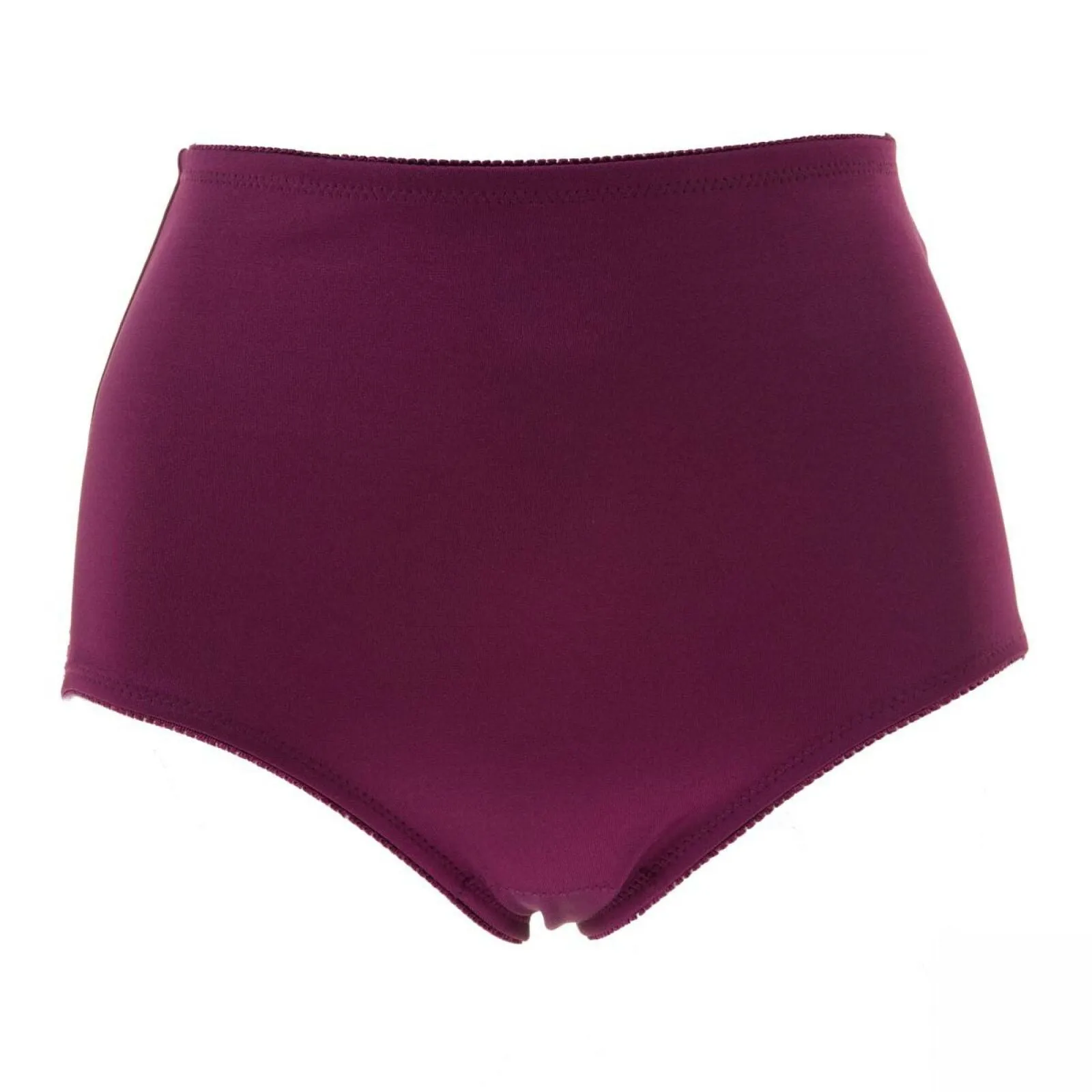 New Rhonda Shear Womens Smooth Pinup Brief With Lace Trim. 650181-1-NEW X-Large