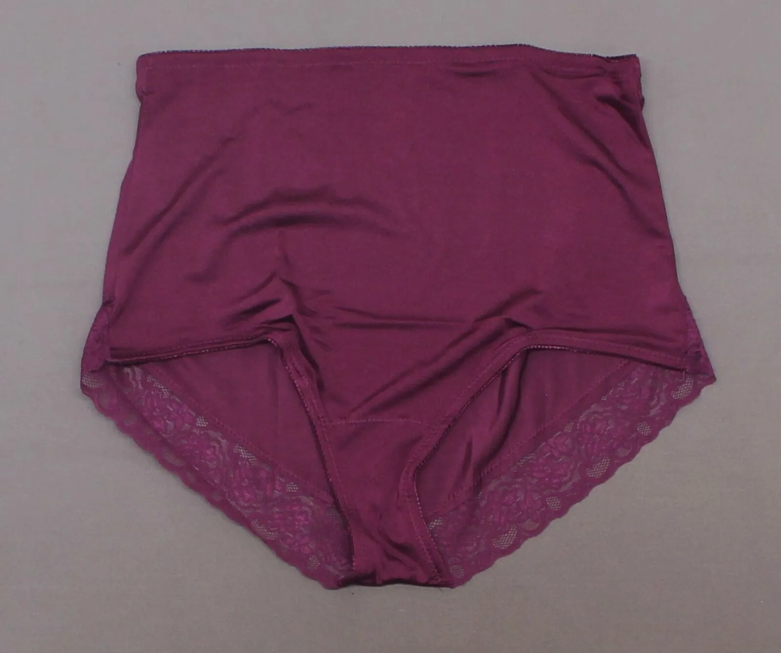 New Rhonda Shear Womens Smooth Pinup Brief With Lace Trim. 650181-1-NEW X-Large
