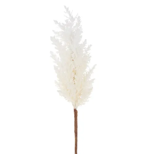 Pampas Grass Stem
