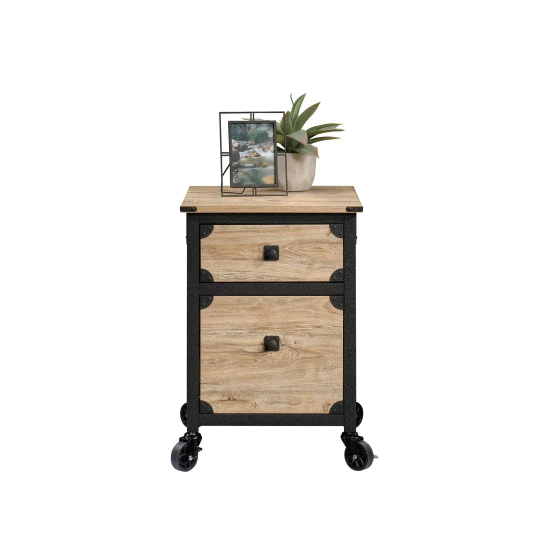 Rushton 2-Drawer Vertical Filing Cabinet Williston Forge Color: Tan