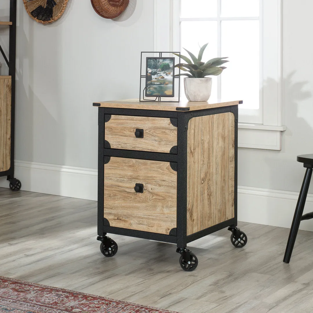 Rushton 2-Drawer Vertical Filing Cabinet Williston Forge Color: Tan