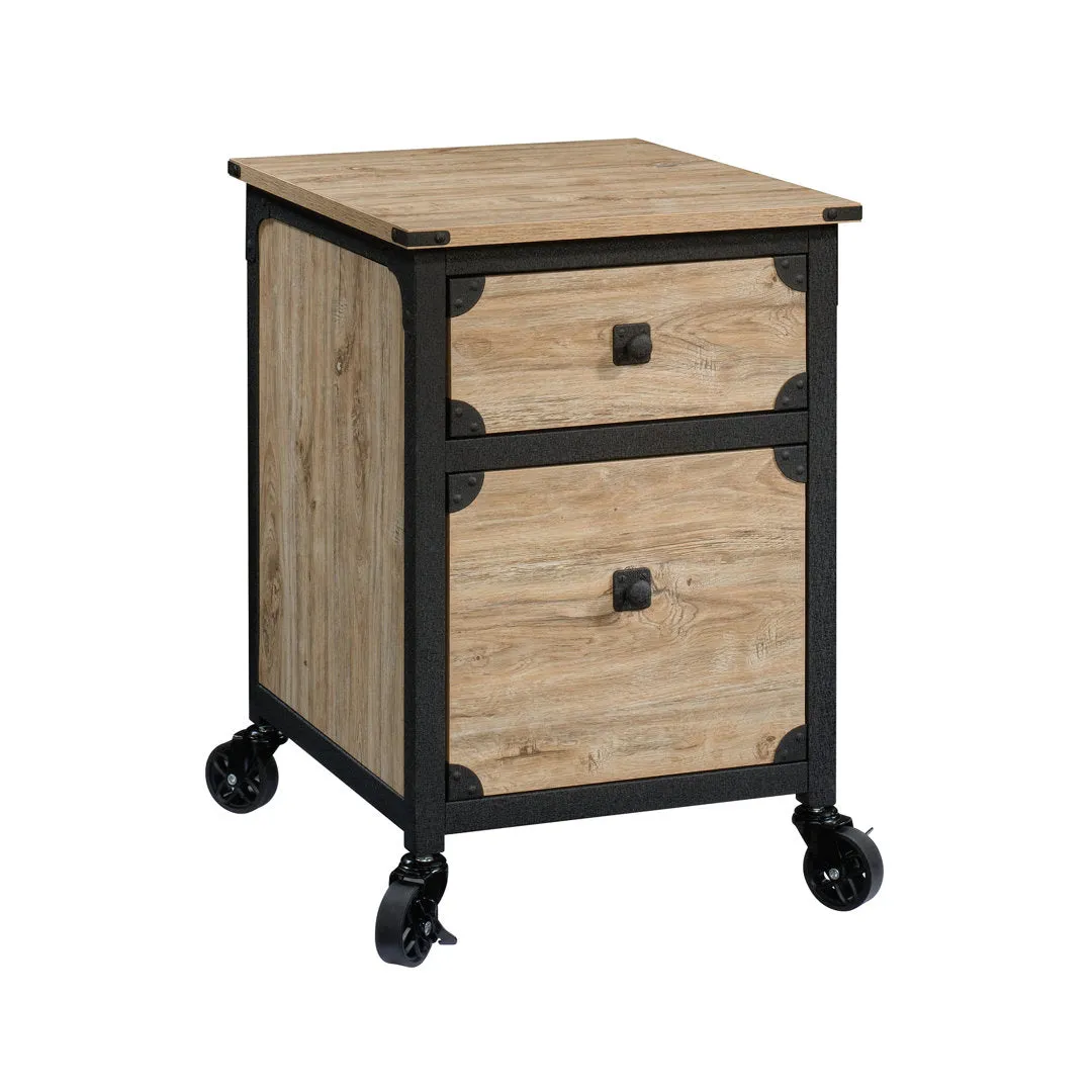 Rushton 2-Drawer Vertical Filing Cabinet Williston Forge Color: Tan