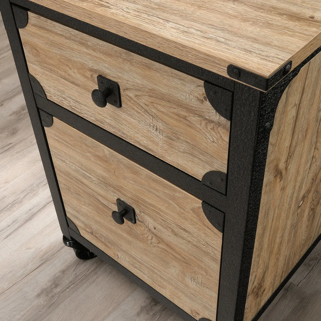 Rushton 2-Drawer Vertical Filing Cabinet Williston Forge Color: Tan