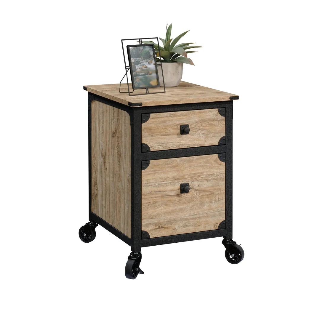 Rushton 2-Drawer Vertical Filing Cabinet Williston Forge Color: Tan