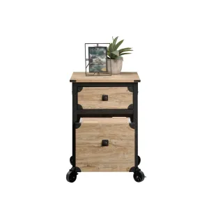 Rushton 2-Drawer Vertical Filing Cabinet Williston Forge Color: Tan