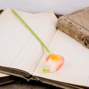 Small Coral Calla Lily Stem