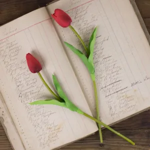 Small Red Tulip