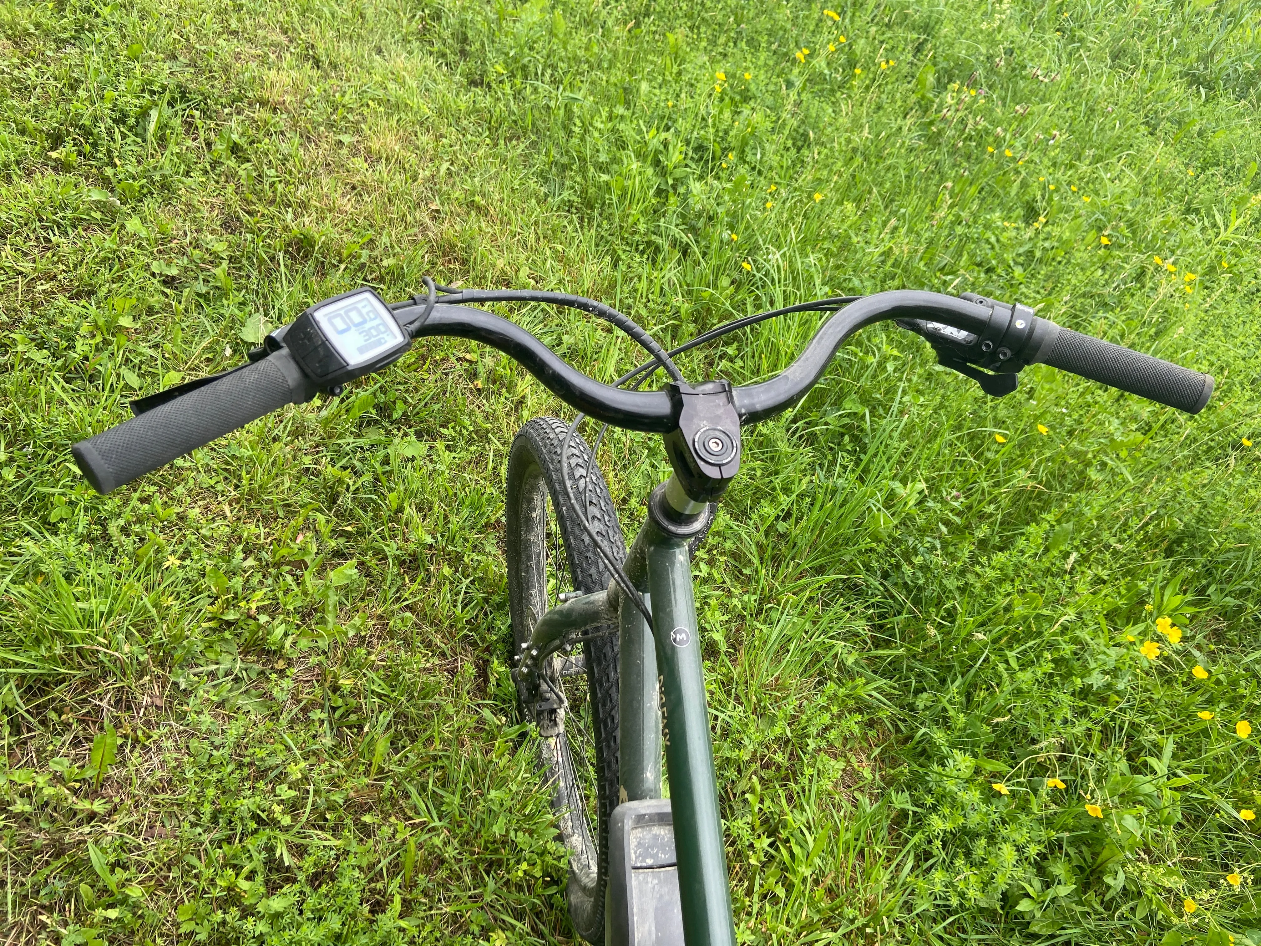 Surly Big Easy E cargo bike