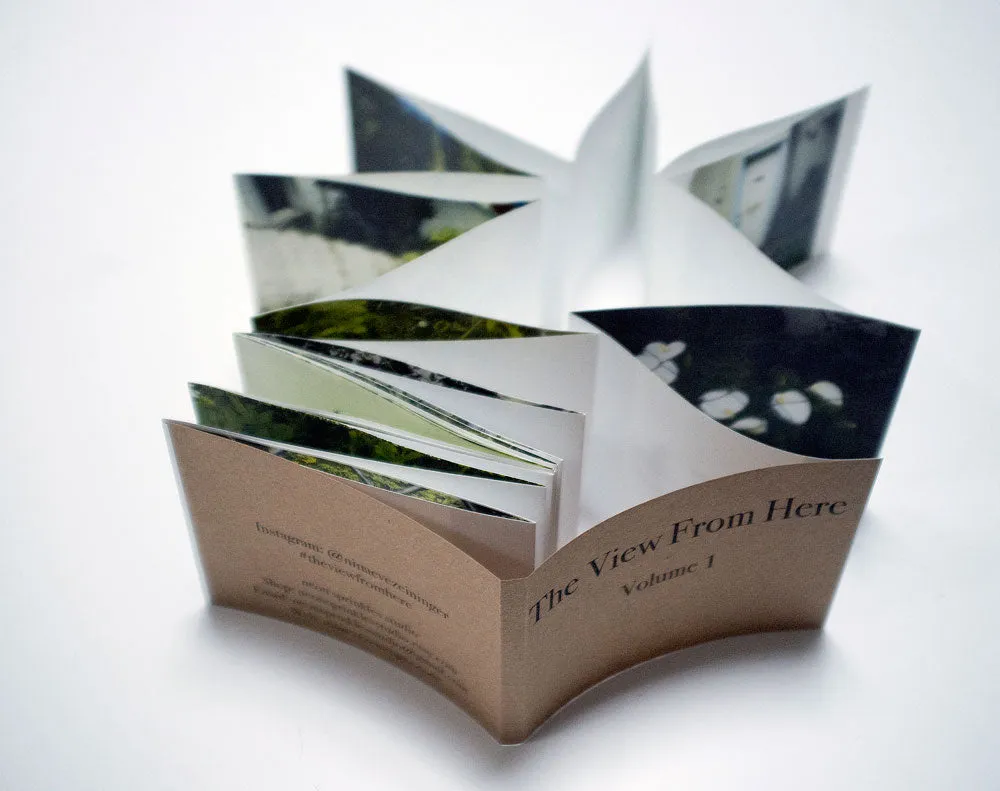 The View From Here: Volume 1 by Nina Eve Zeininger