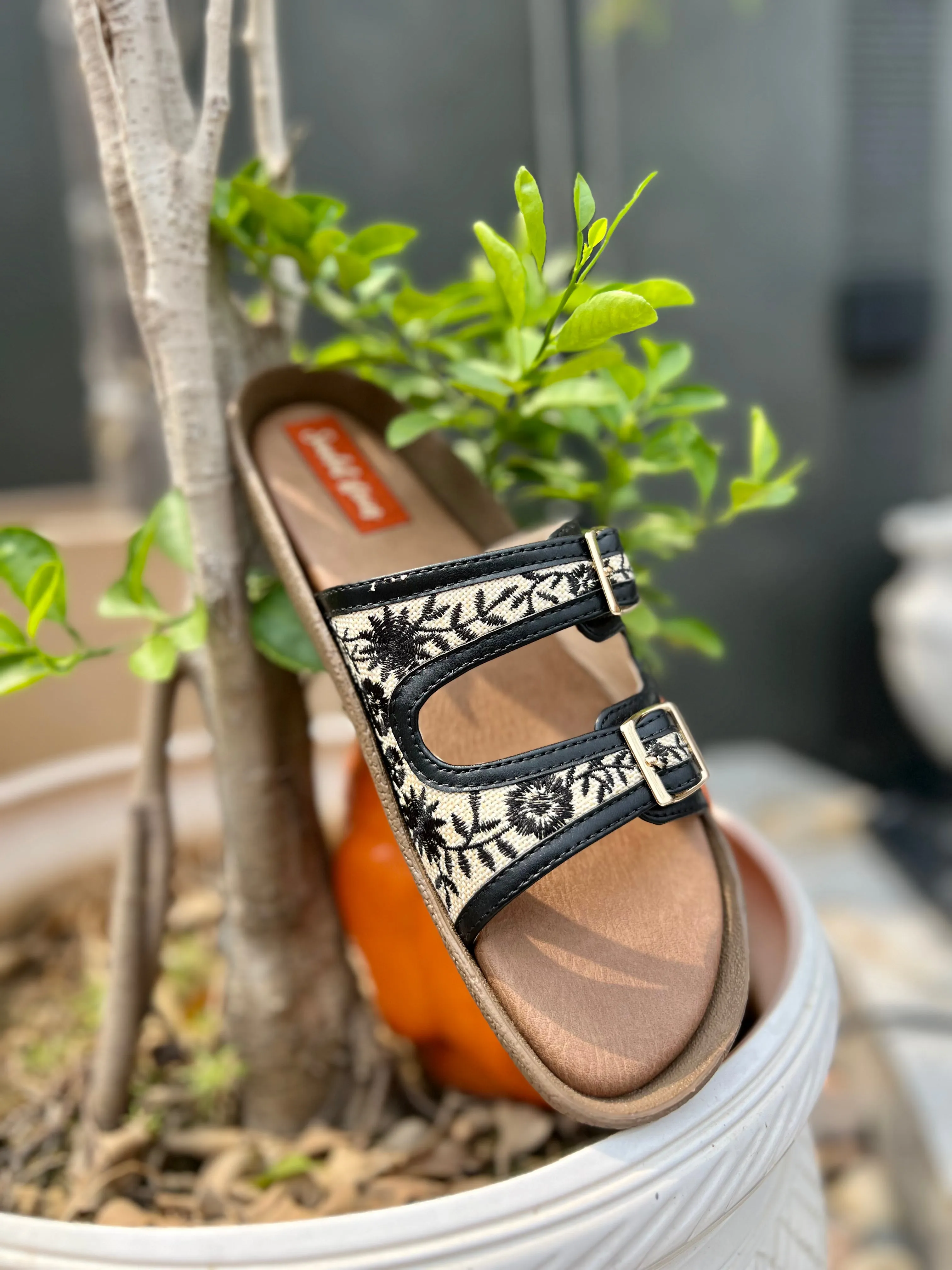 Urban Grove – Comfort Sliders