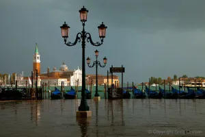 Venice Clearing