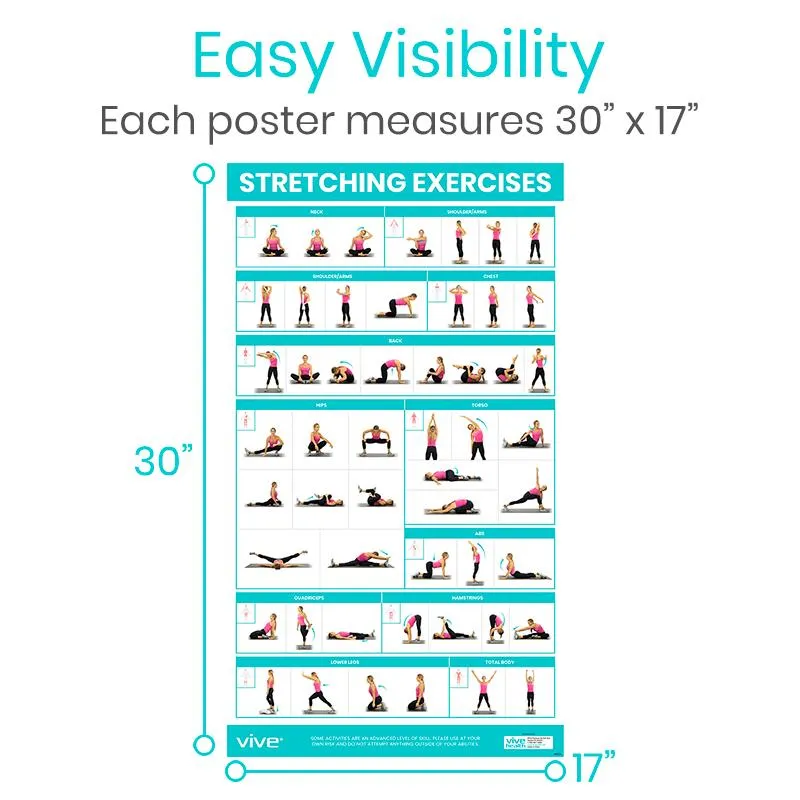 Vive No Equipment Required Poster 3-Pack