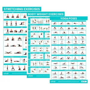 Vive No Equipment Required Poster 3-Pack