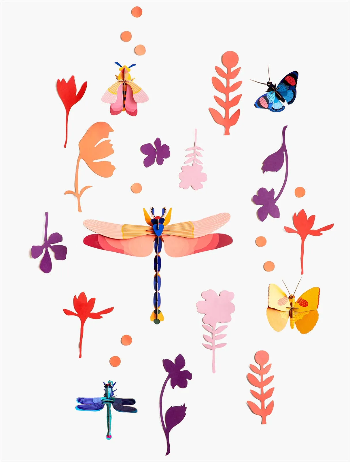 Wall of Curiosities, Insect Connoisseur