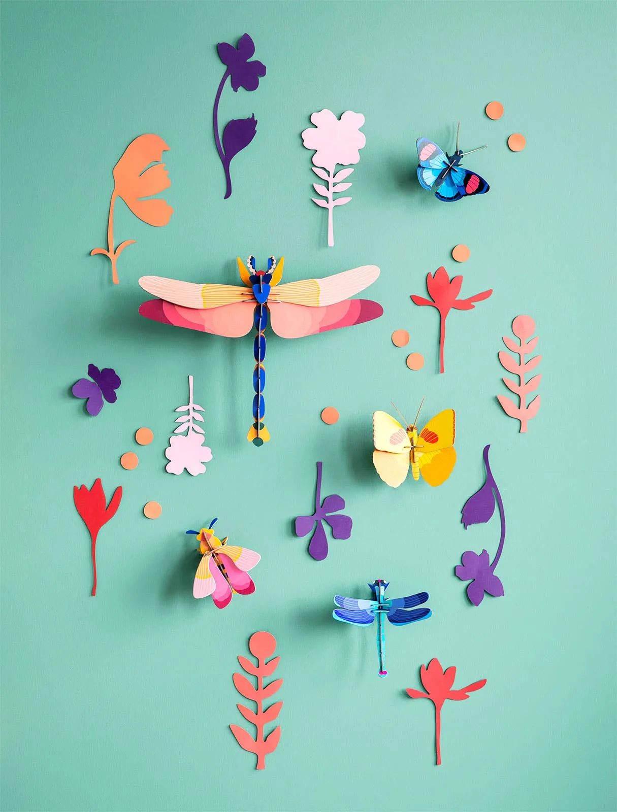 Wall of Curiosities, Insect Connoisseur