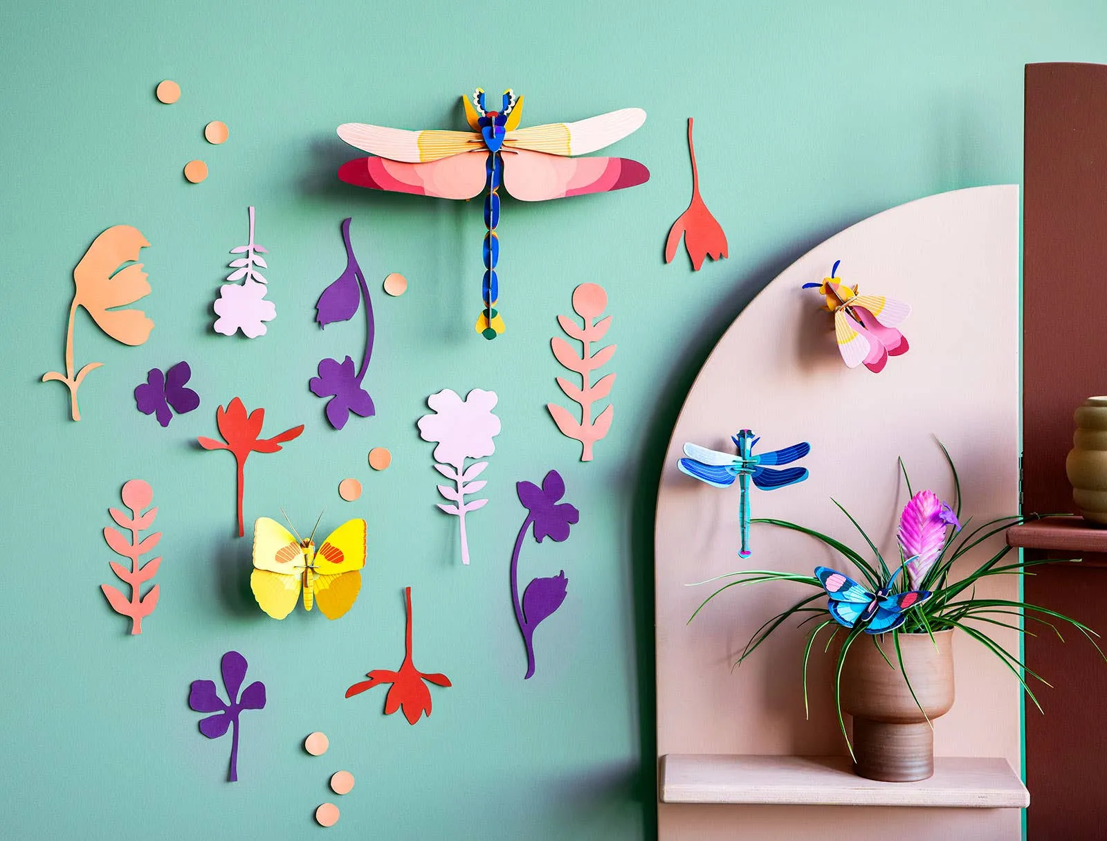 Wall of Curiosities, Insect Connoisseur