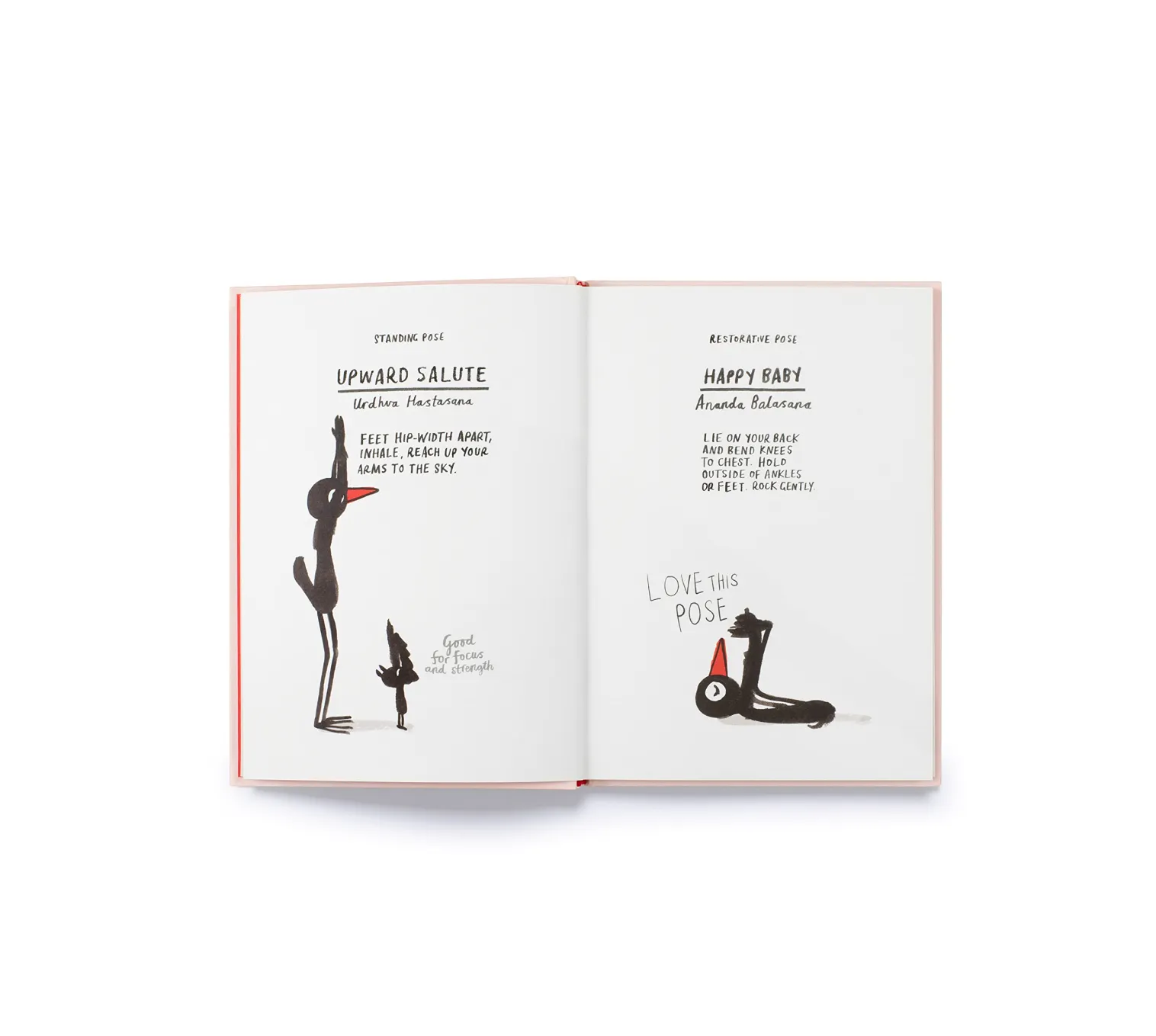 Yoga For Stiff Birds - Marion Deuchars